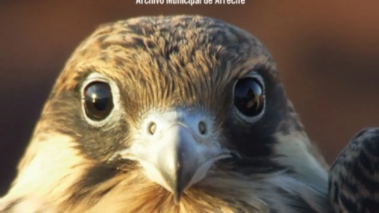 Conferencia sobre la Avifauna del Archipiélago Chinijo