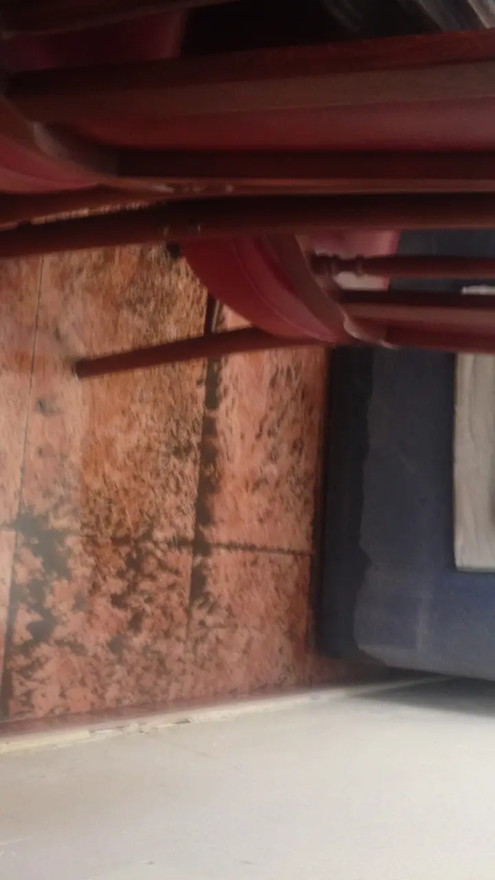 Las lluvias inundan las casas
