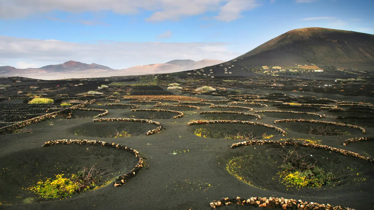 Paisaje de La Geria