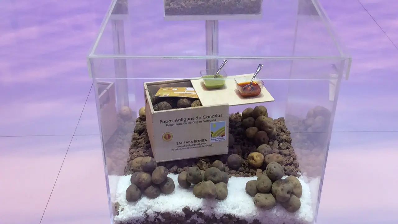 Canarias en Fitur2
