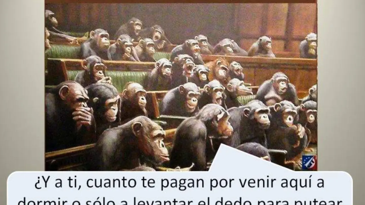 vagos