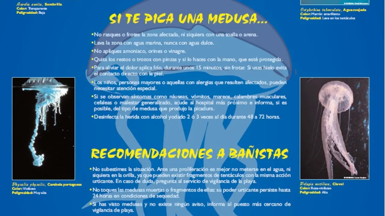 Recomendaciones Campaña Medusas