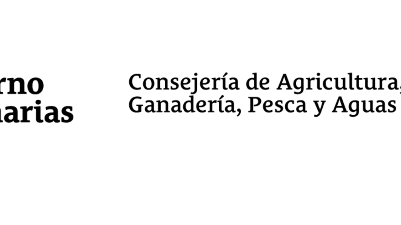 Logo (2)