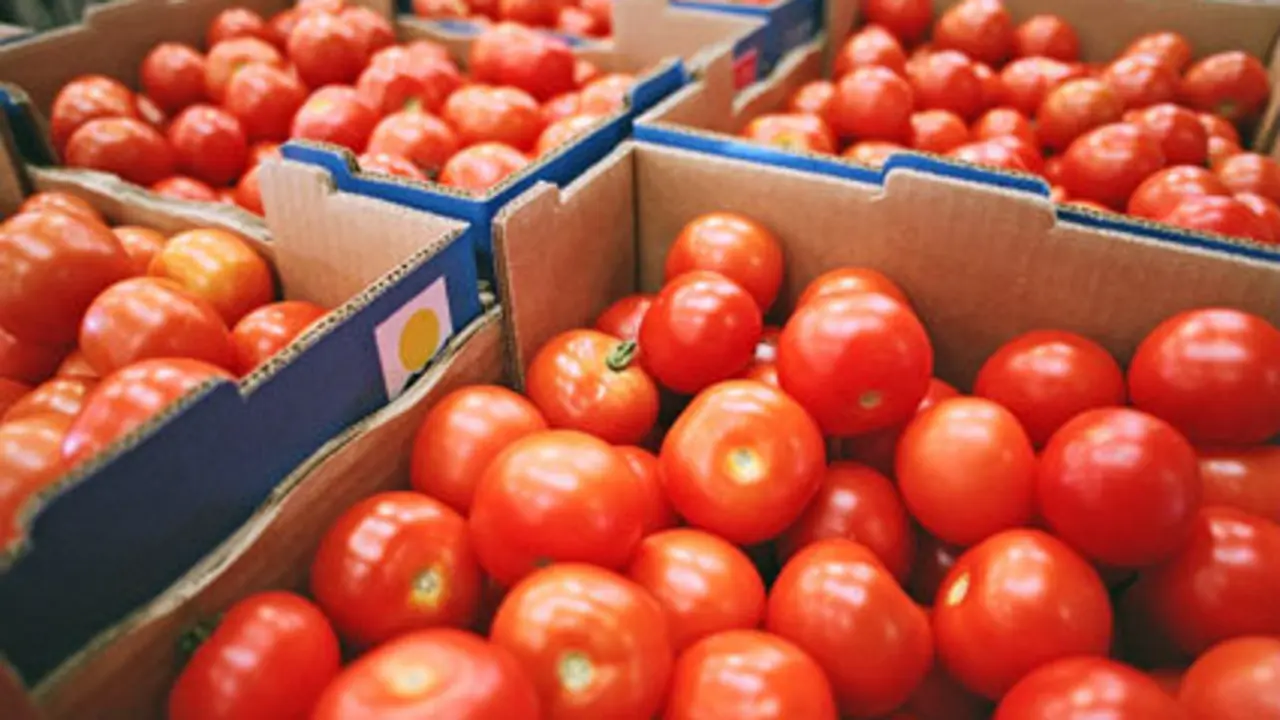 Tomate canario