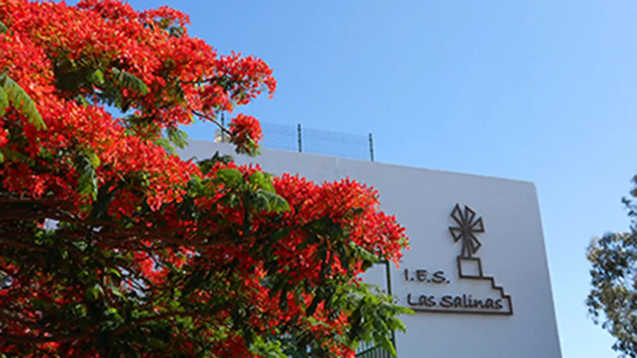 IES Las Salinas