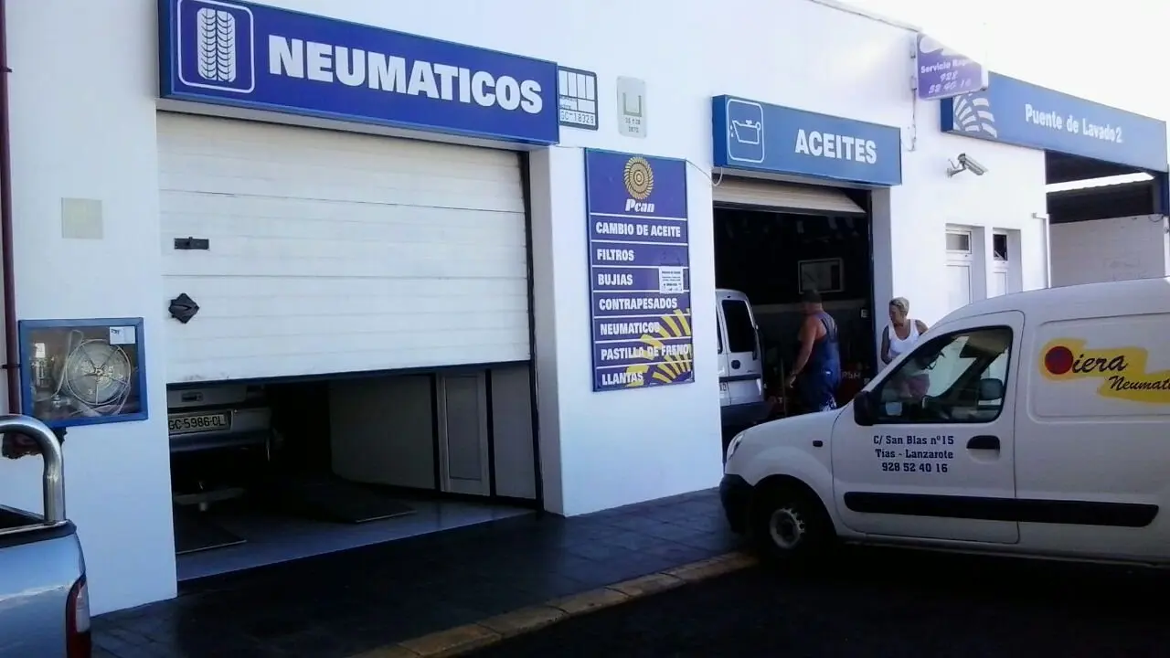 Viera Neum&aacute;ticos
