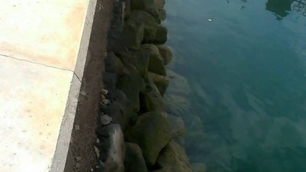 Peligro en la orilla