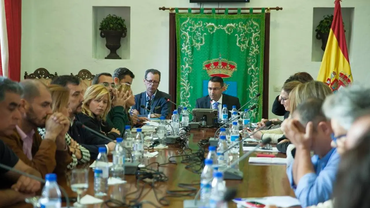 Pleno Teguise 22_1_2015