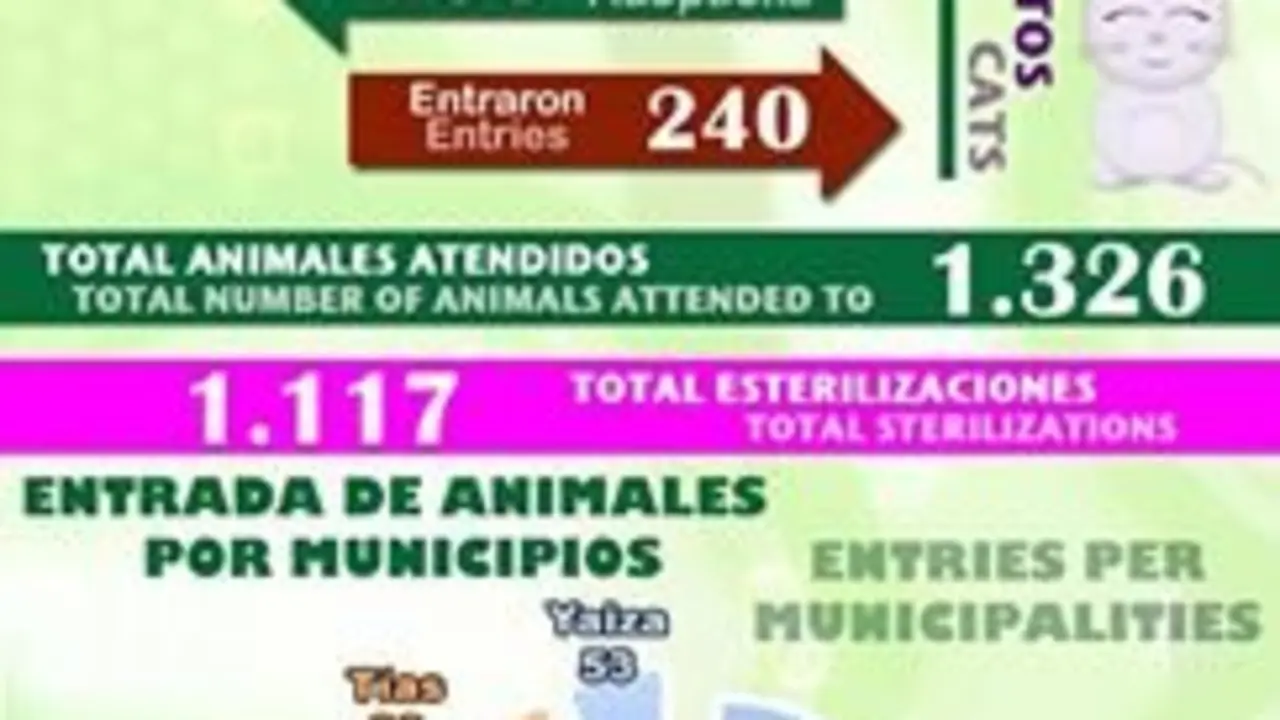 Números de SARA