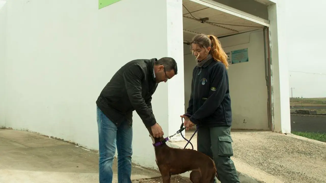 Centro Acogida Animales_1 (Copy)