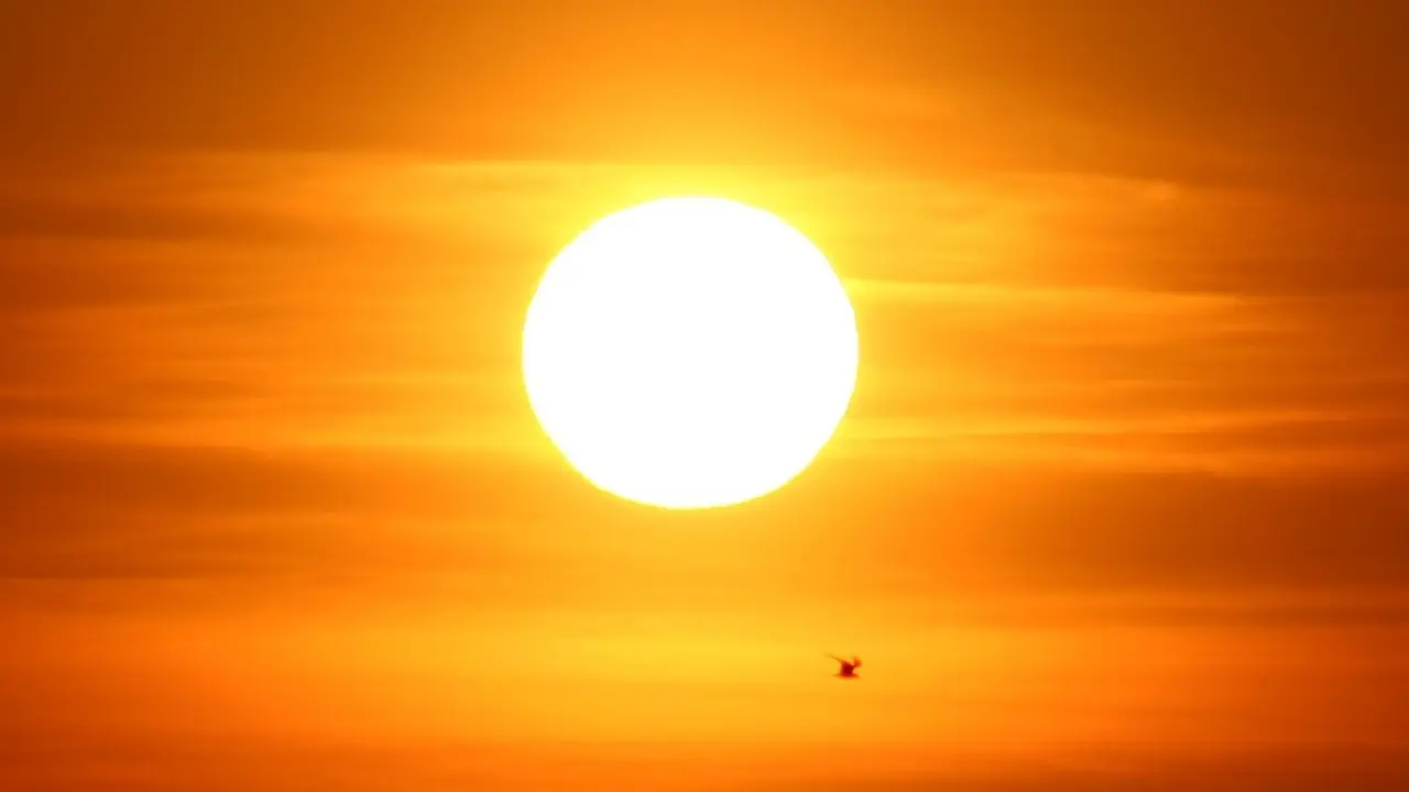 el-sol