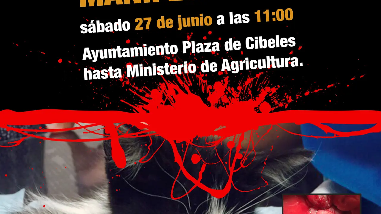 BROKEN_manif