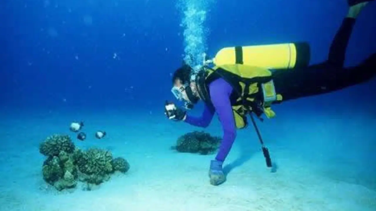 submarinista