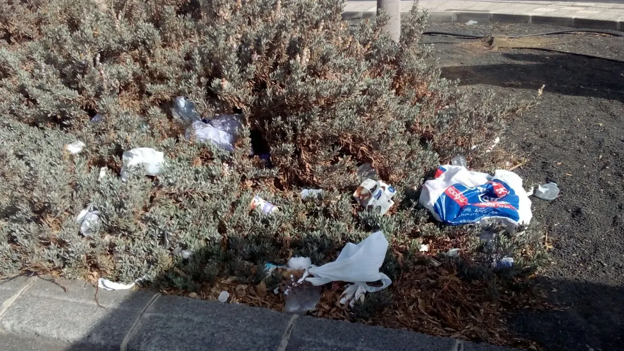 La basura se acumula en el parque 3