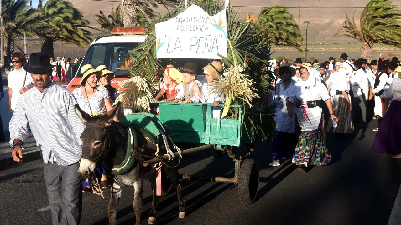 ROMERIA 29