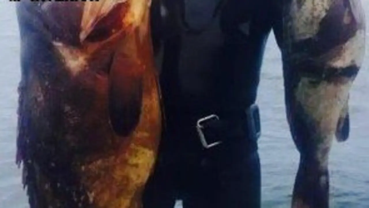 Pesca furtiva 2