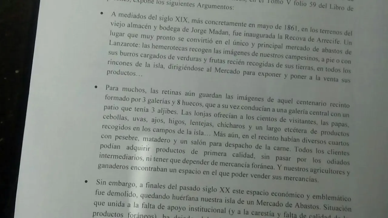 Iniciativa Ciudadana en el Cabildo 1