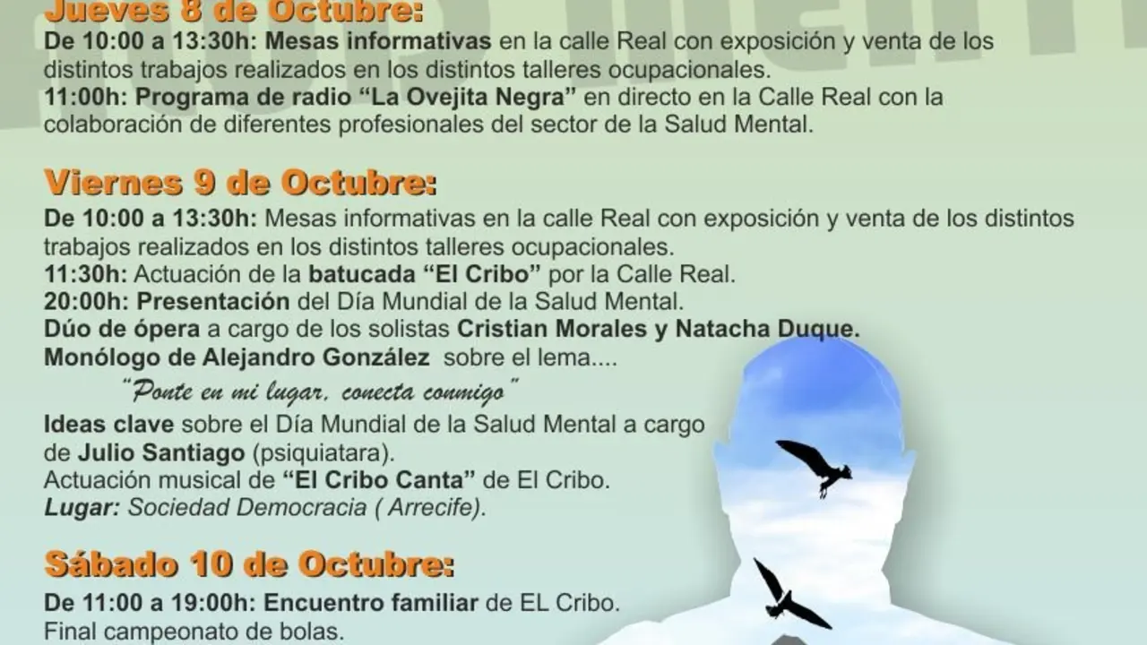 cartel 2015 salud mentalV2