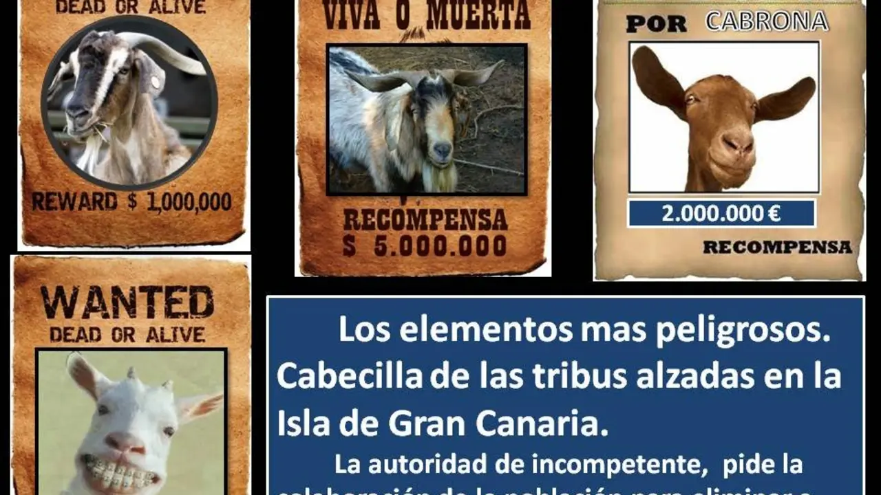 SE BUSCA