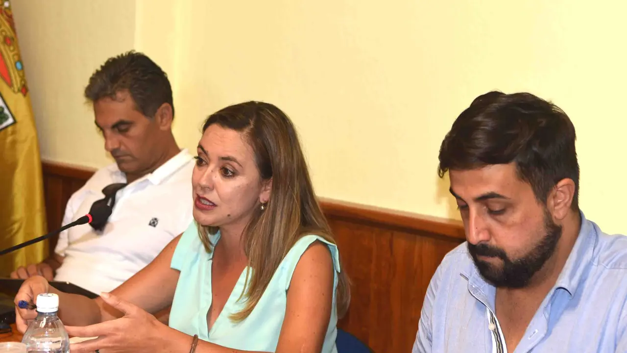 PLENO 11