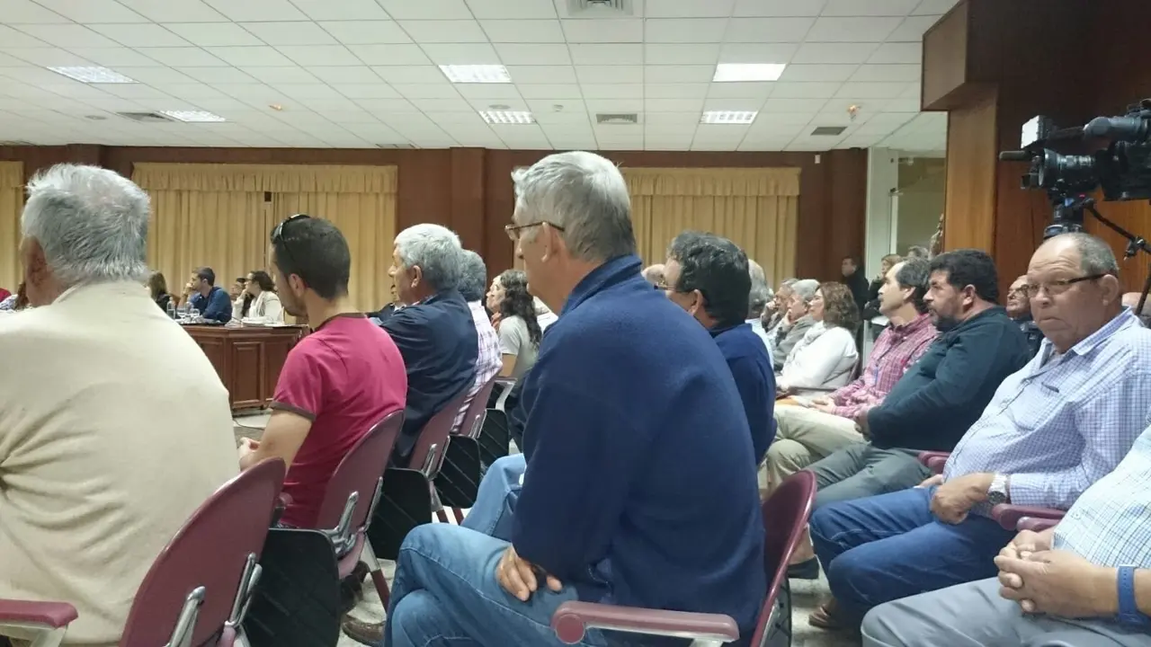 Pleno del Plan de La Geria 3