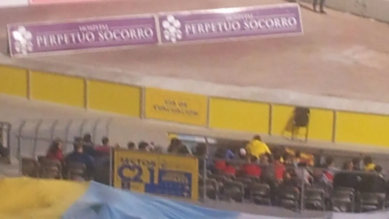 Banderas canarias en el Estadio Gran Canaria 2