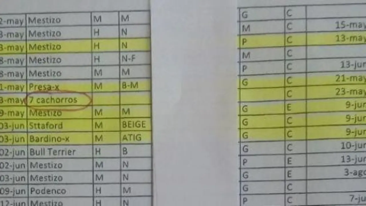 Informe de la Perrera