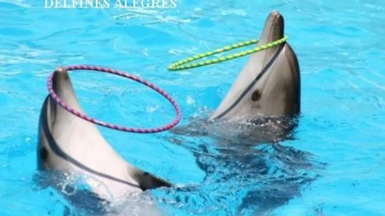 Delfines
