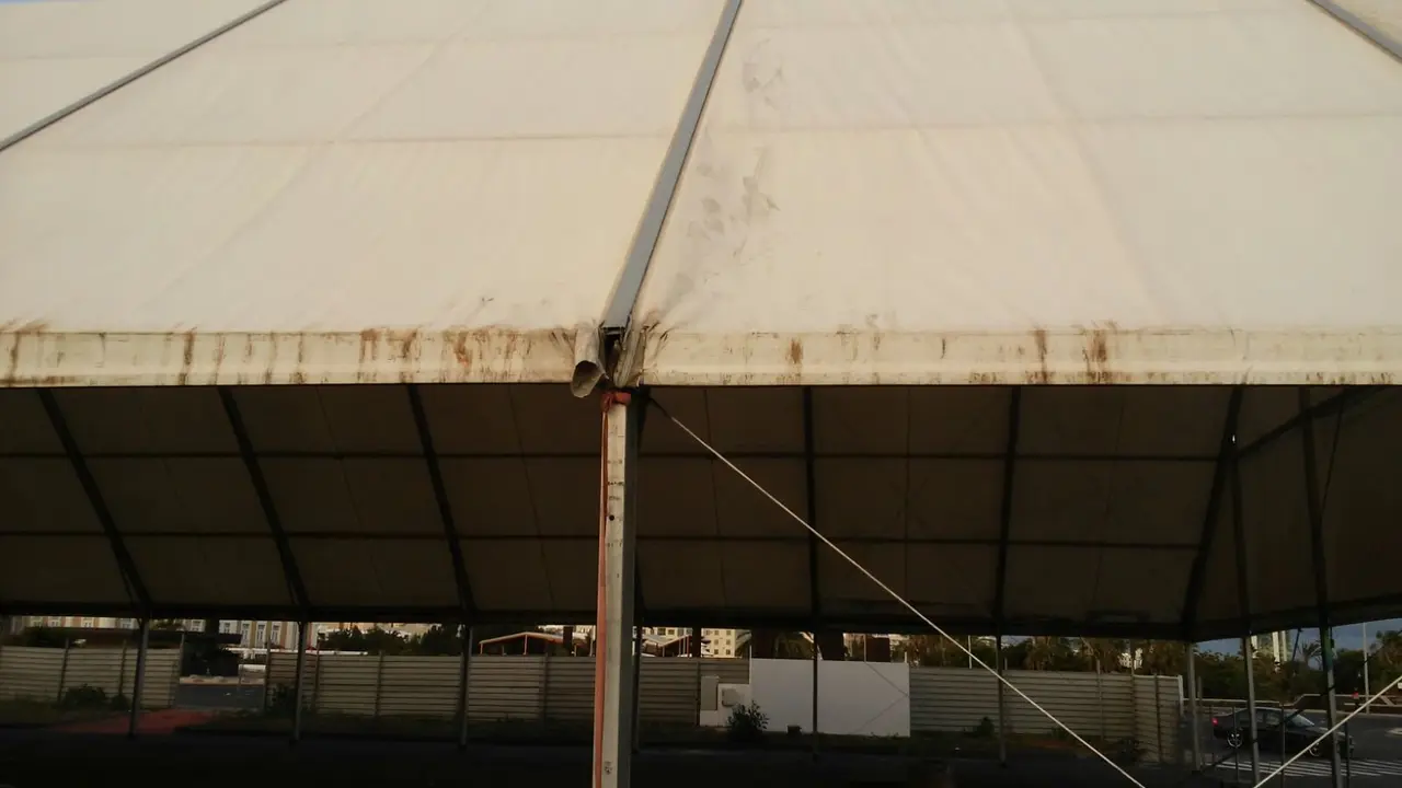 Basura bajo la carpa 6