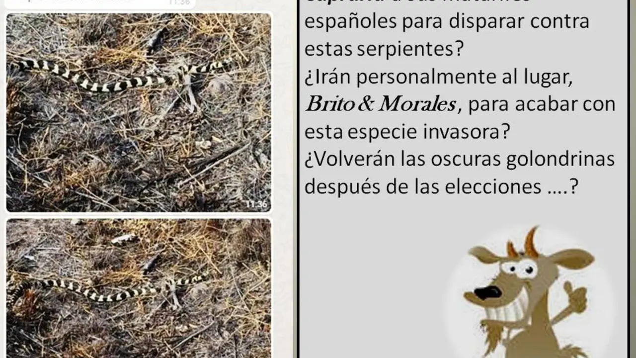 SERPIENTES