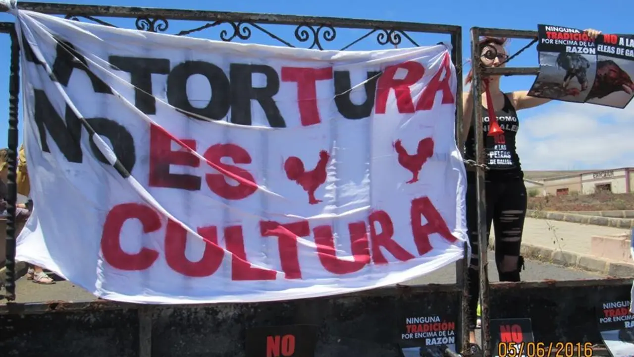 Concentración contra las Peleas de Gallos 2