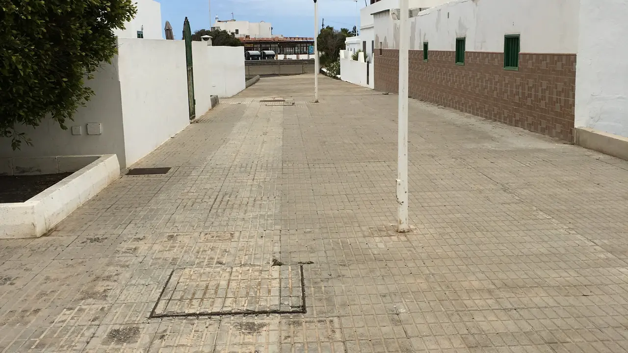 2-Acera común