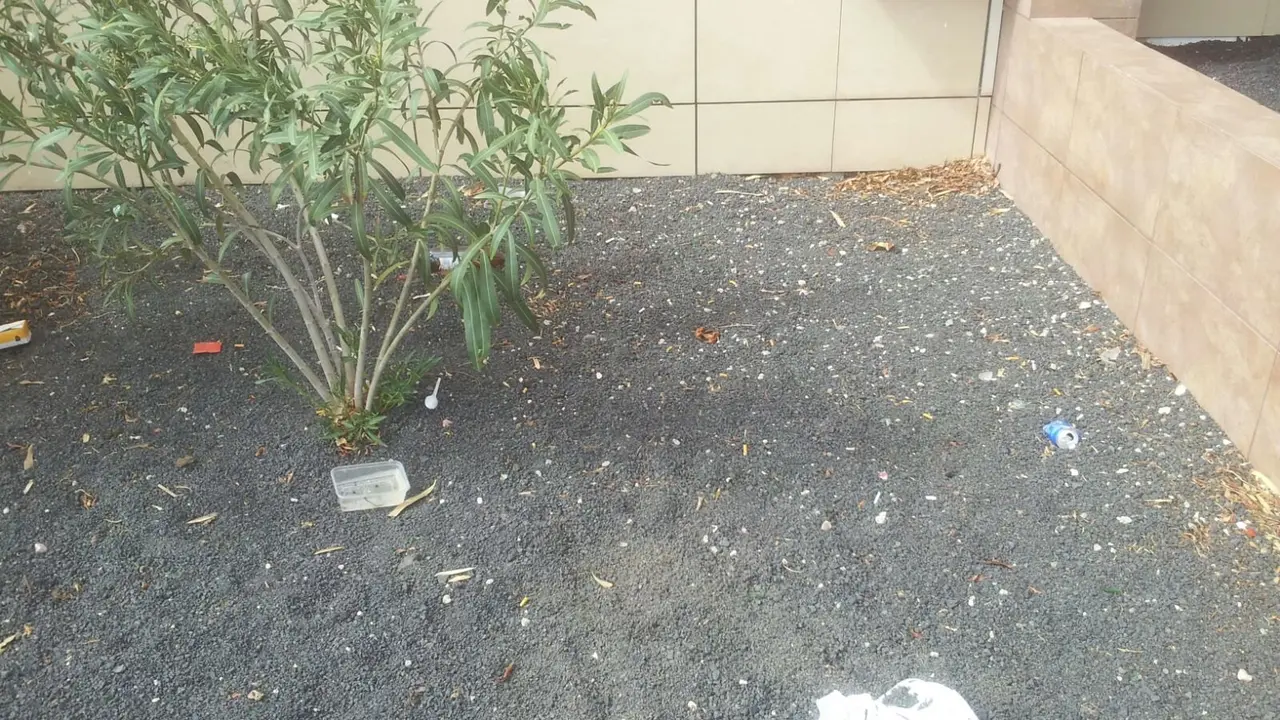 Basura en el Teatro Insular 3