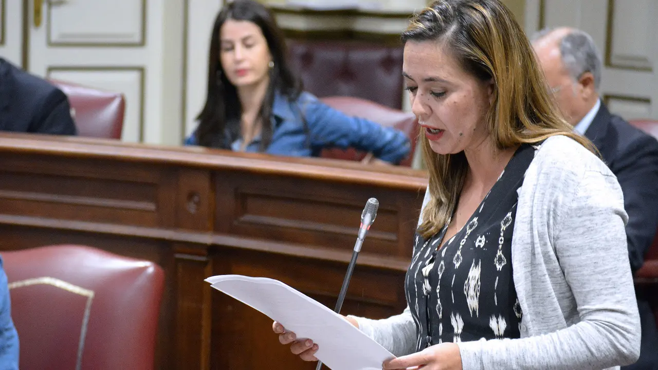 Loli Corujo en el Parlamento