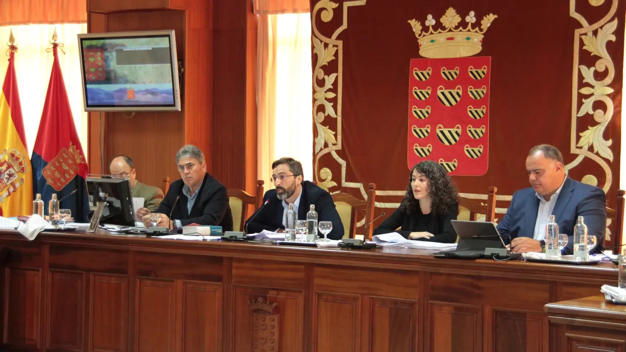 Pleno ordinario del Cabildo (13)