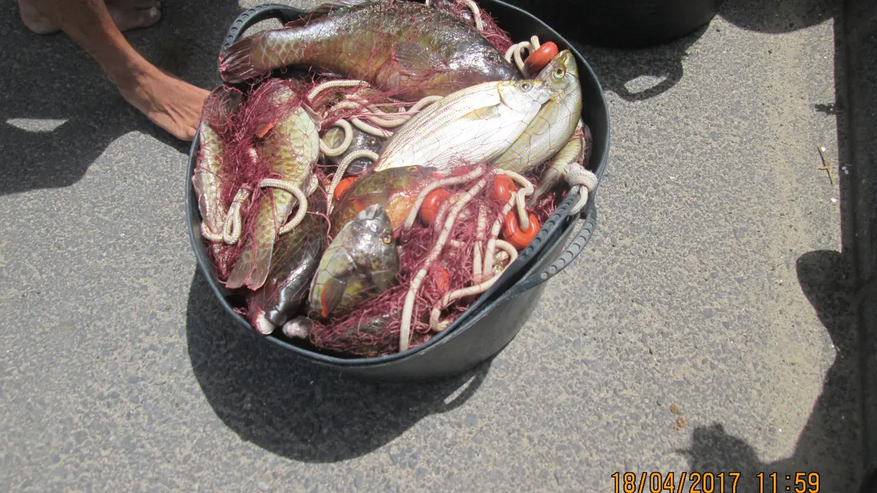 Pescado aprehendido en Famara