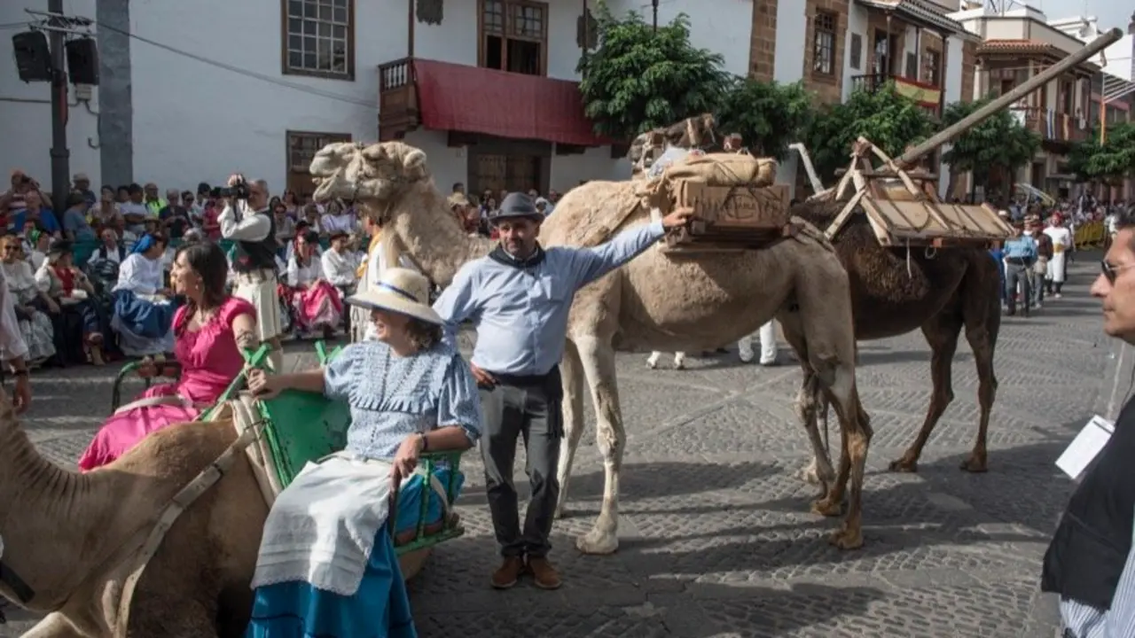 Camellos en la Fiesta del Pino - Frank Hdez
