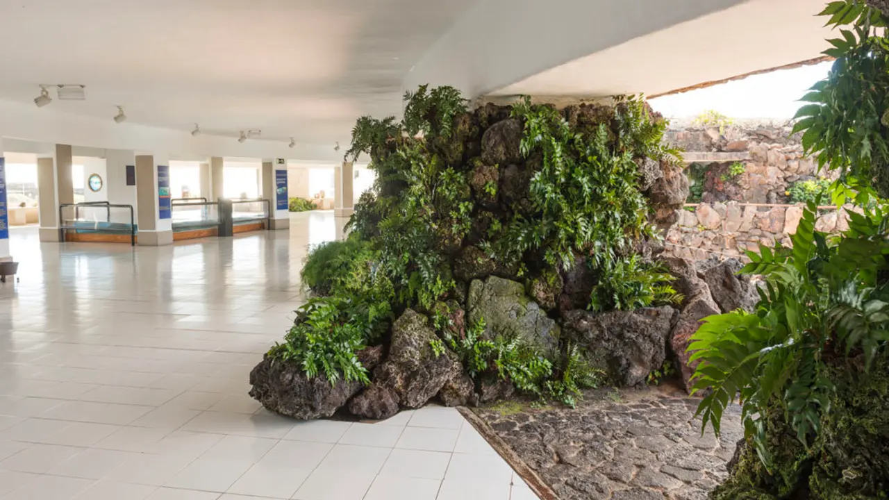 Casa de los Volcanes