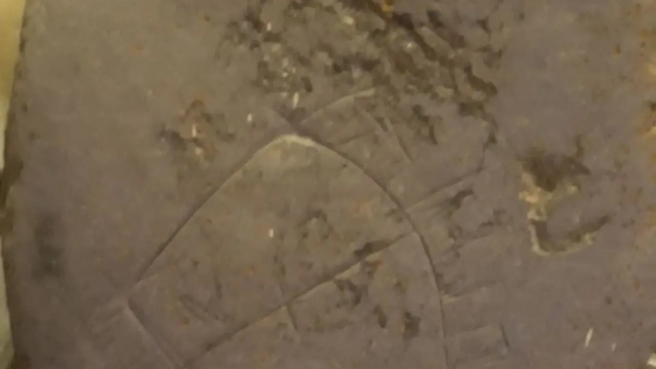 Imitaci&oacute;n de podomorfos con radial