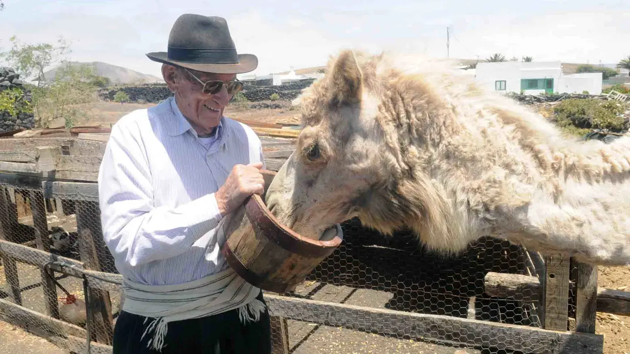 JUAN BRITO DANDO COMER CAMELLA 1