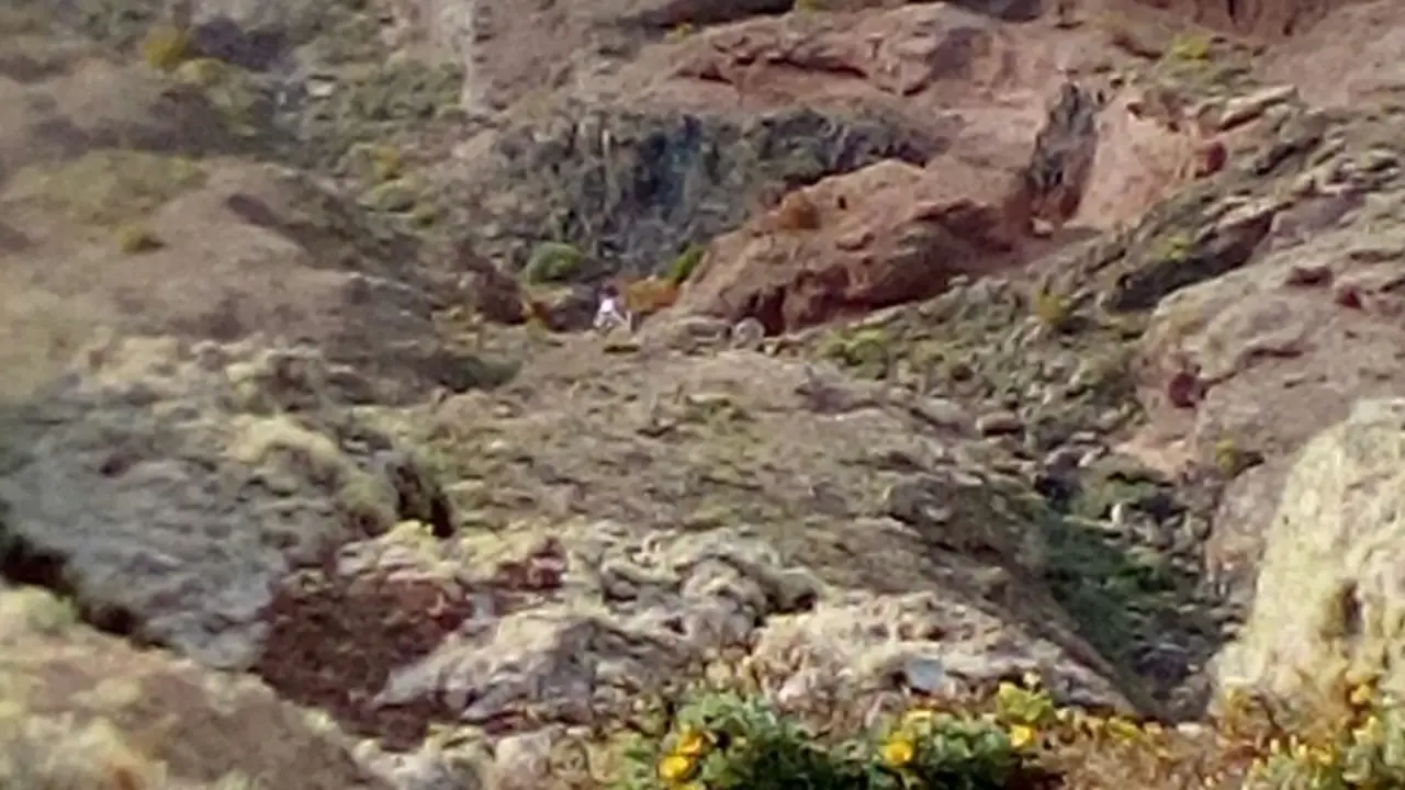 Muerto en Famara