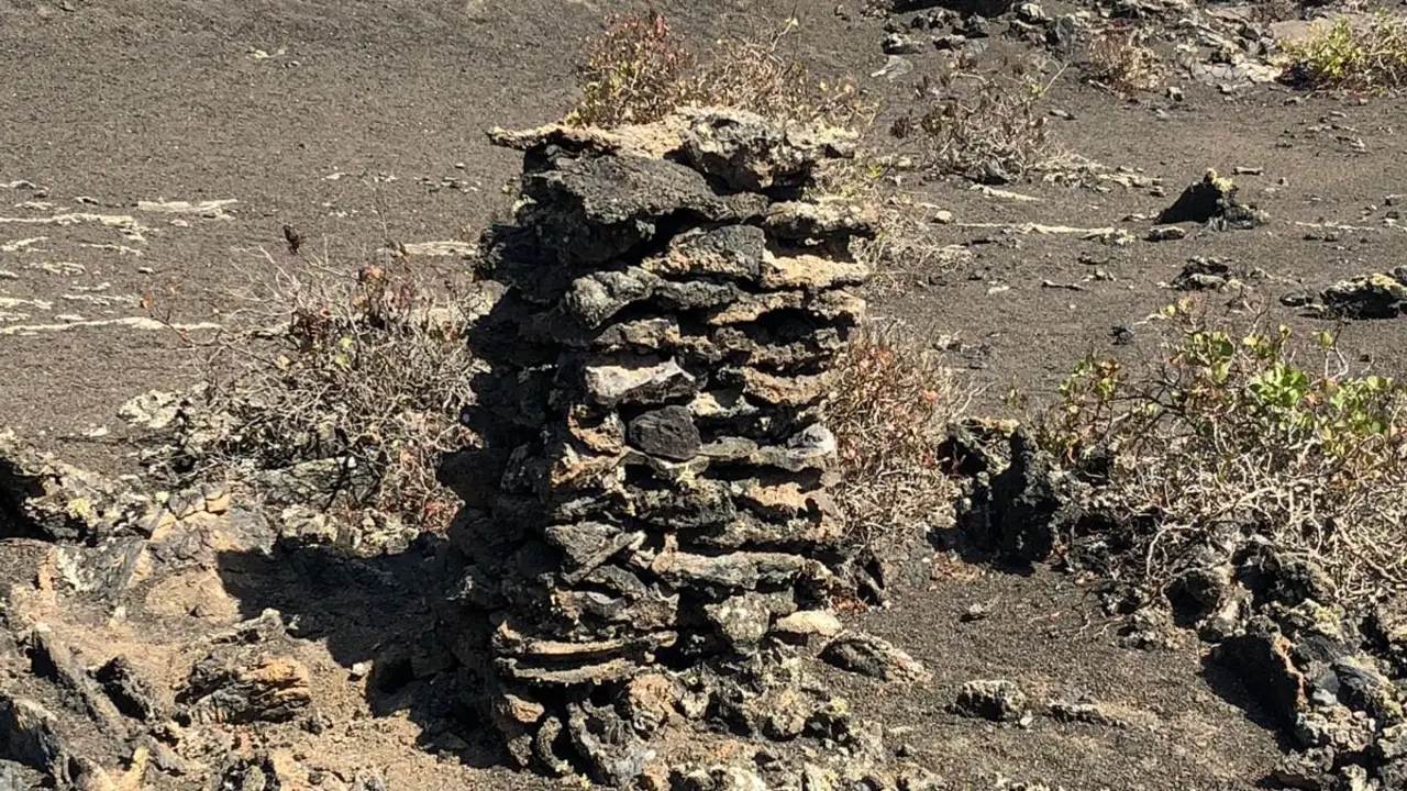 Abandono del medioambiente lanzaroteño 3