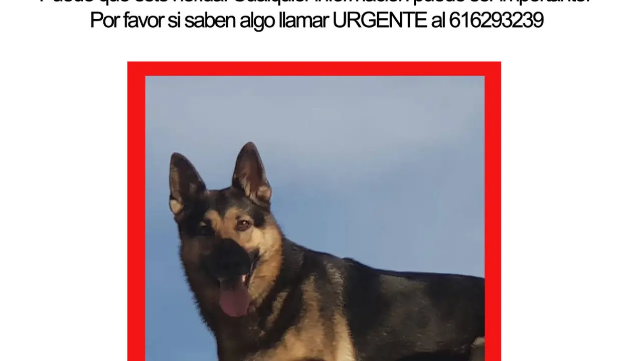 B&uacute;squeda de Tamia