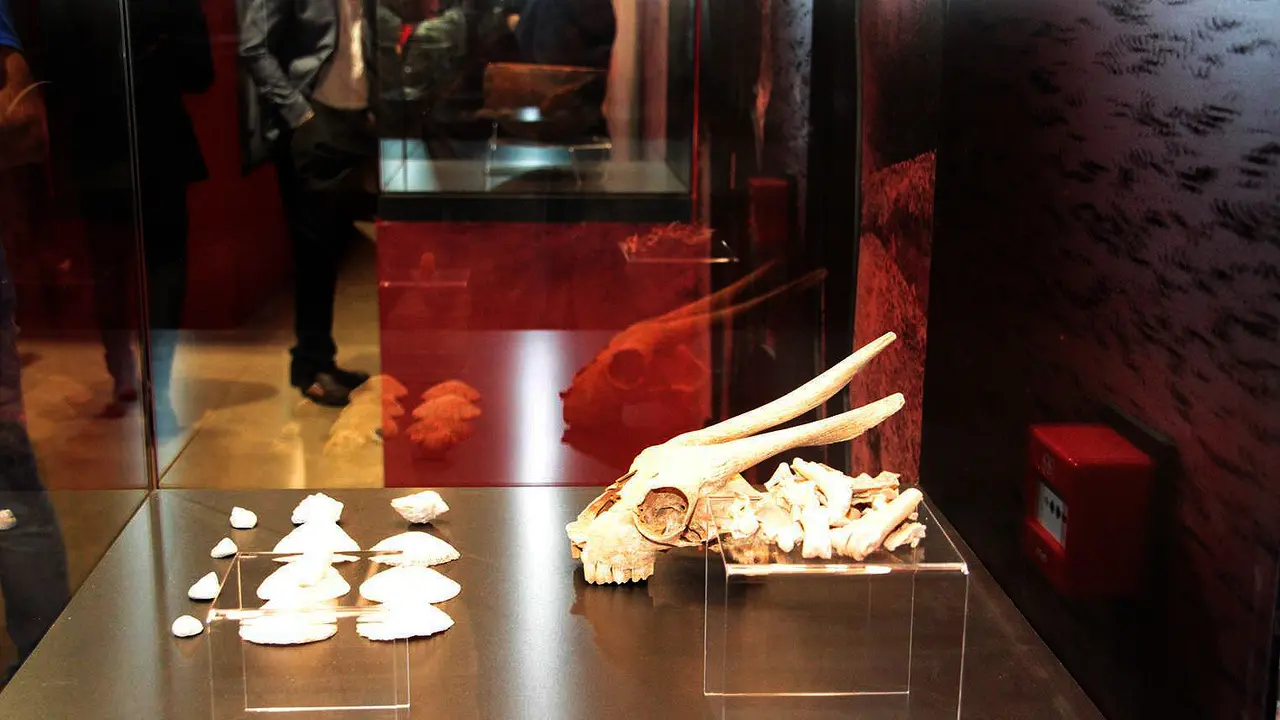 Museo Arqueol+¦gico de Lanzarote (30)