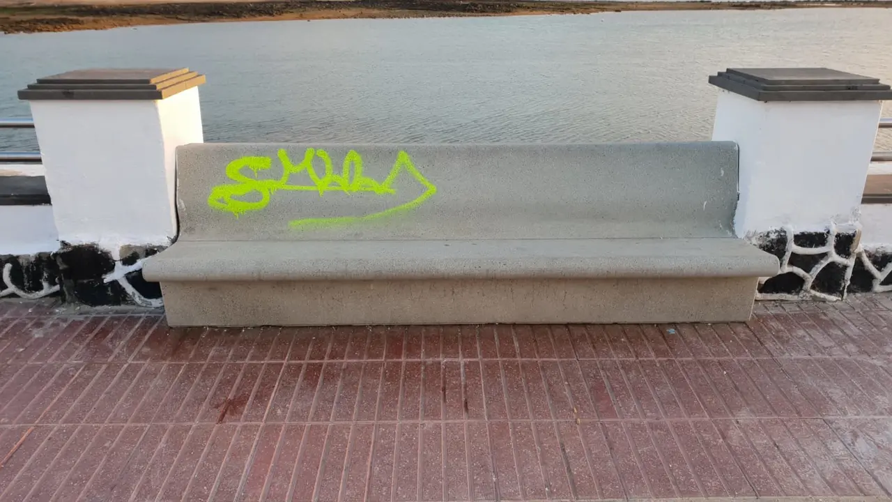 Pintadas en Arrecife