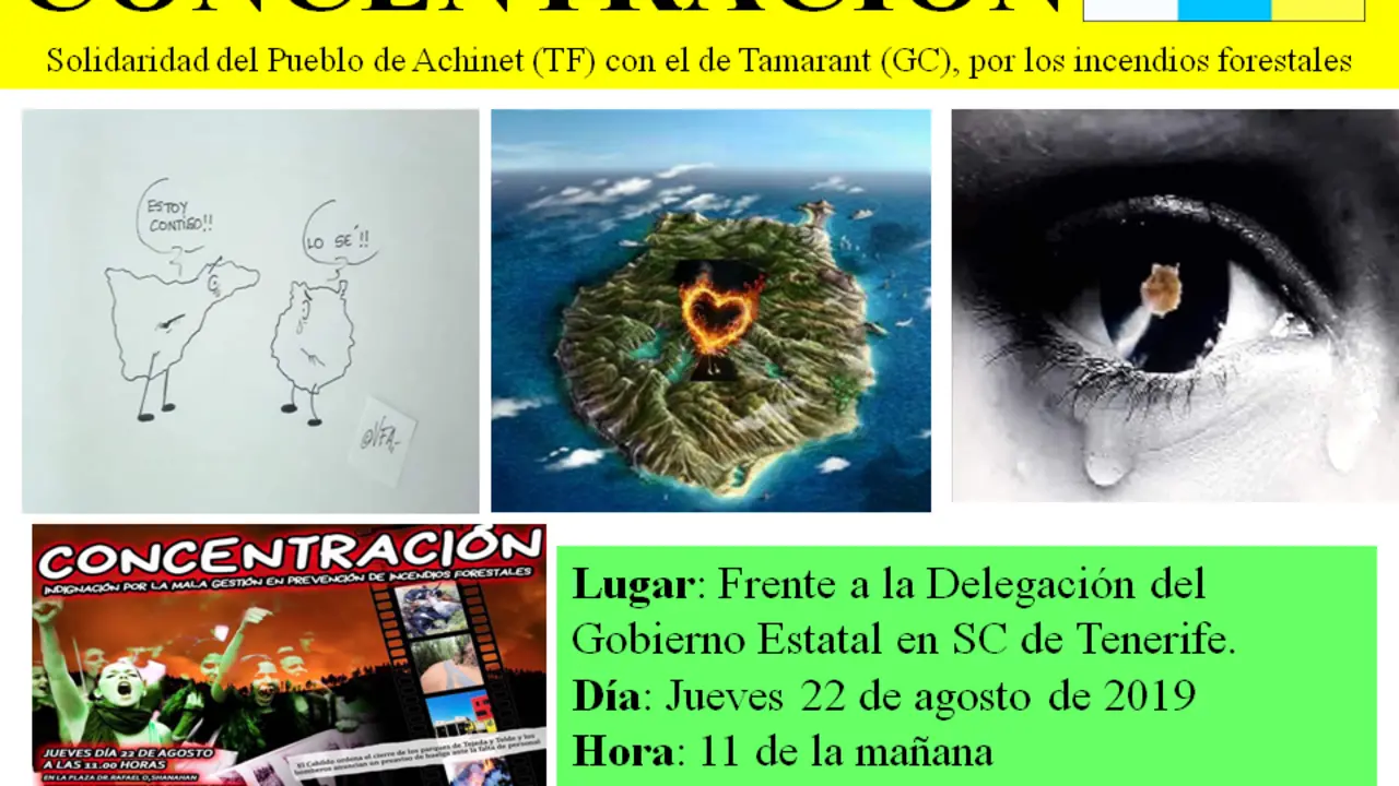 concentracion TF con GC