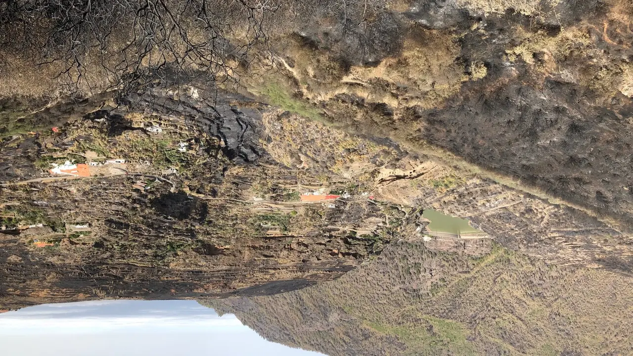 Zona de Risco Caído