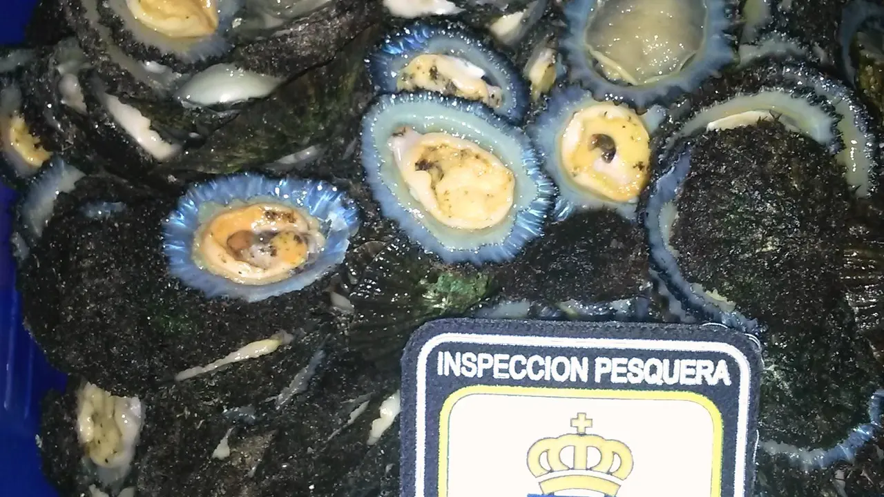 Lapas1