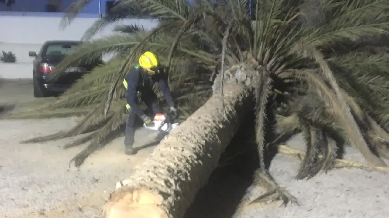 Incidencias del temporal de viento 2