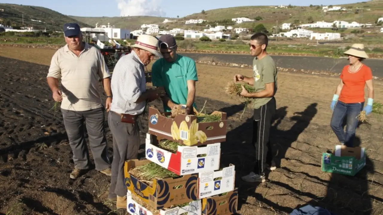 Agricultores de Lanzarote
